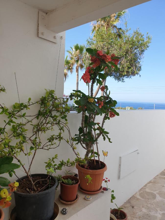 Ikaria Village-Ground Floor Apartment No 4 Hlóraka Kültér fotó
