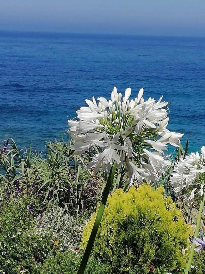Ikaria Village-Ground Floor Apartment No 4 Hlóraka Kültér fotó