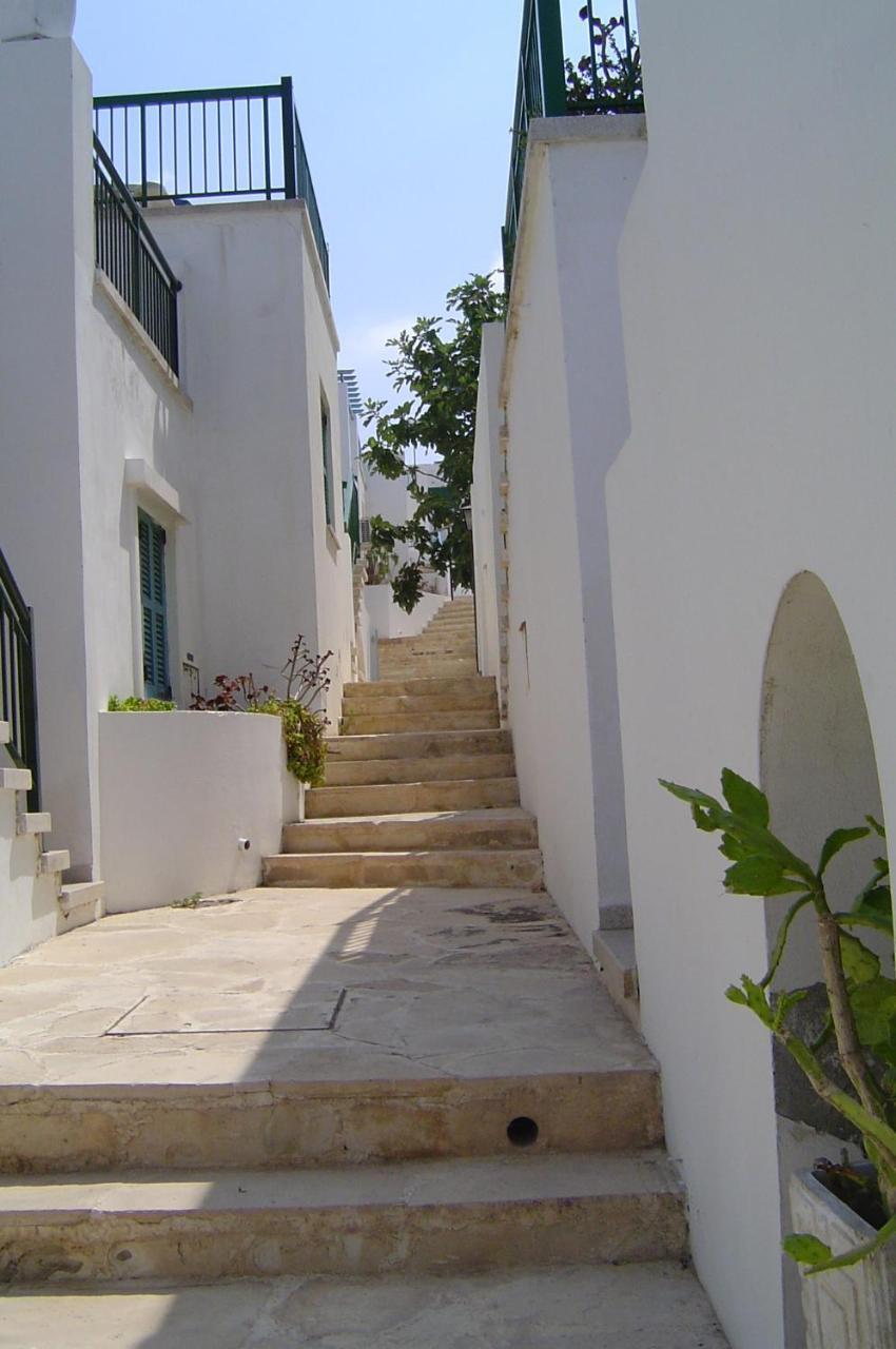 Ikaria Village-Ground Floor Apartment No 4 Hlóraka Kültér fotó
